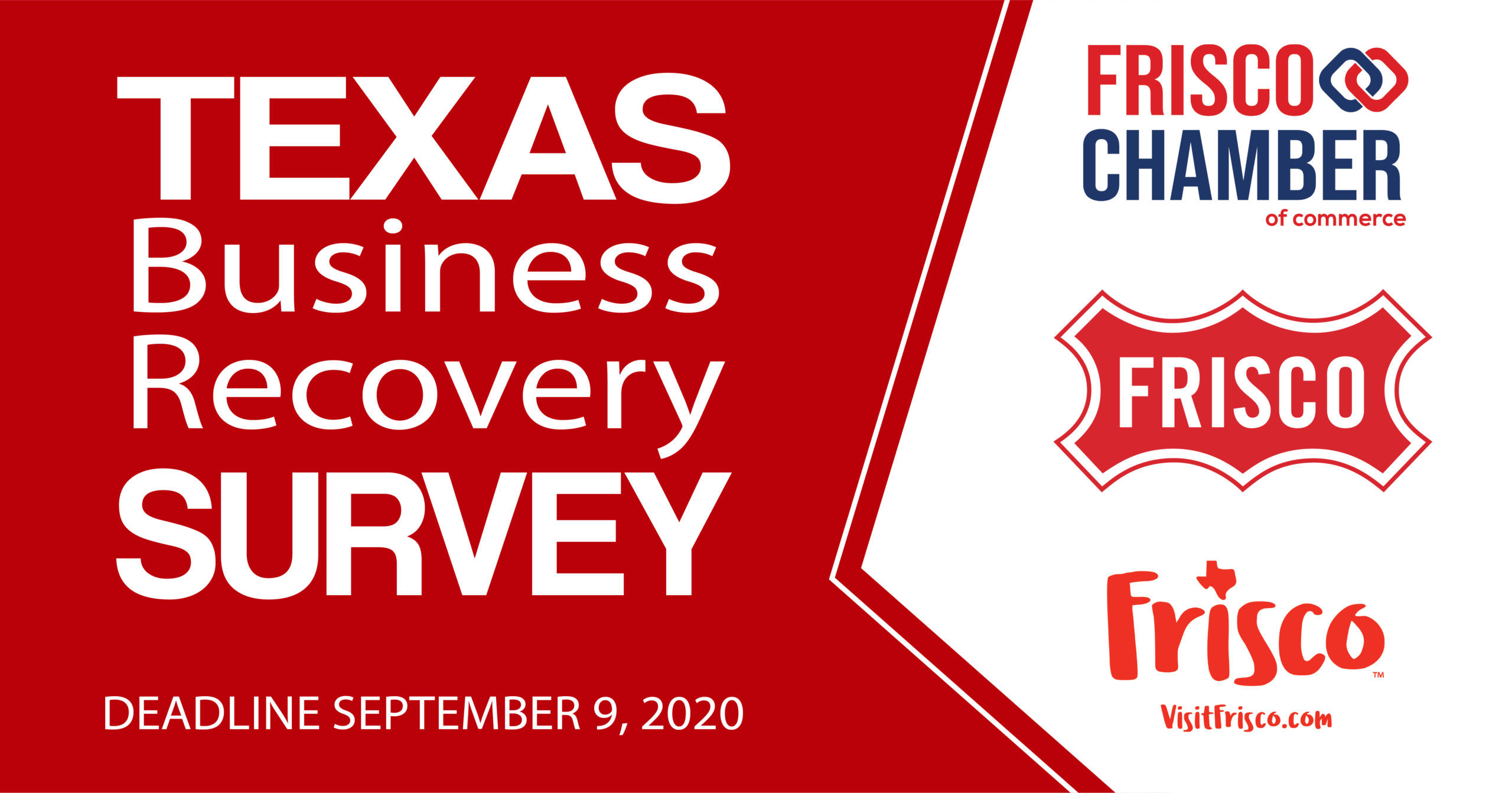 Business Recovery Survey Final